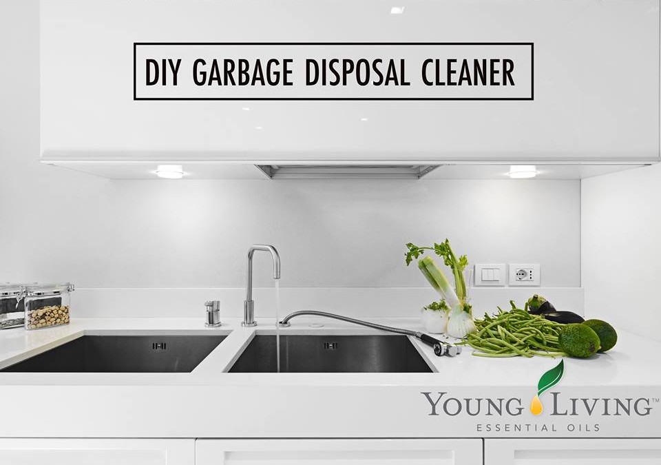 #DIYFriday: Garbage Disposal Cleaner