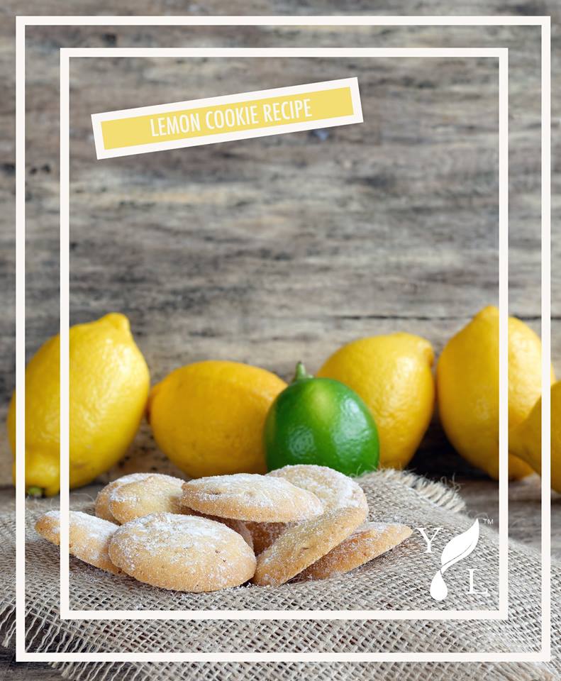 Young Living Lemon Cookie | Simply Serendipity
