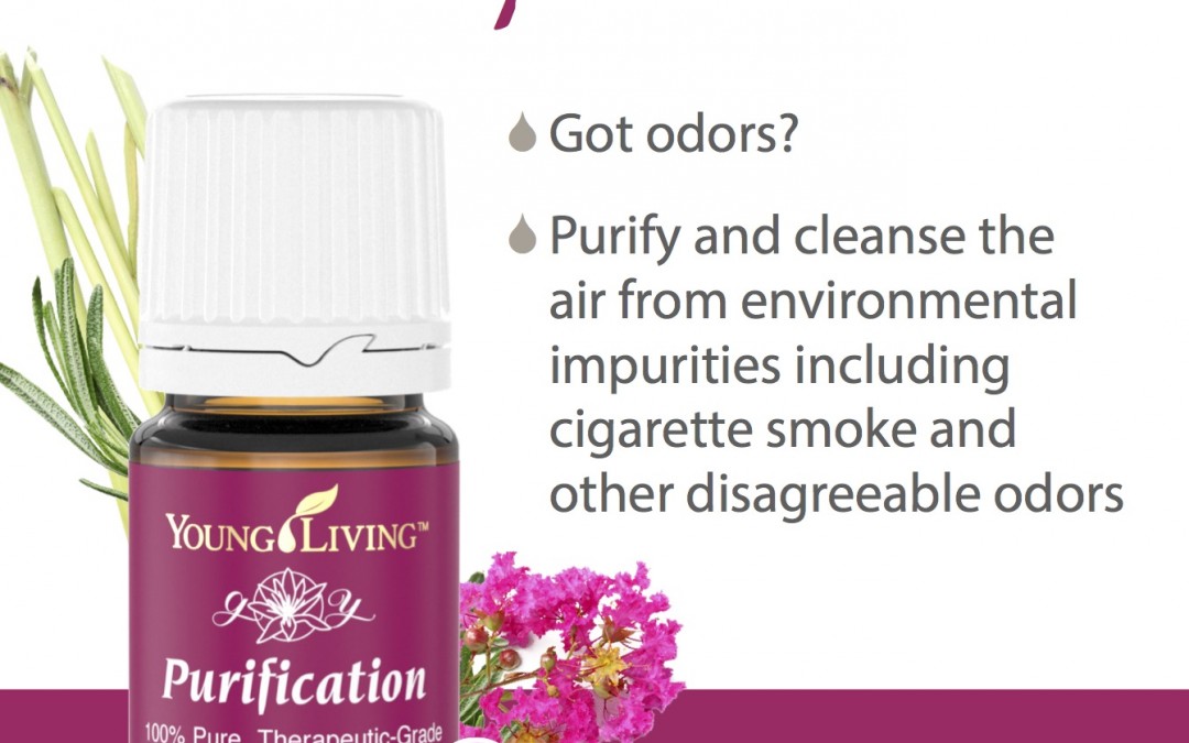 Product Feature: Purification by Lynn