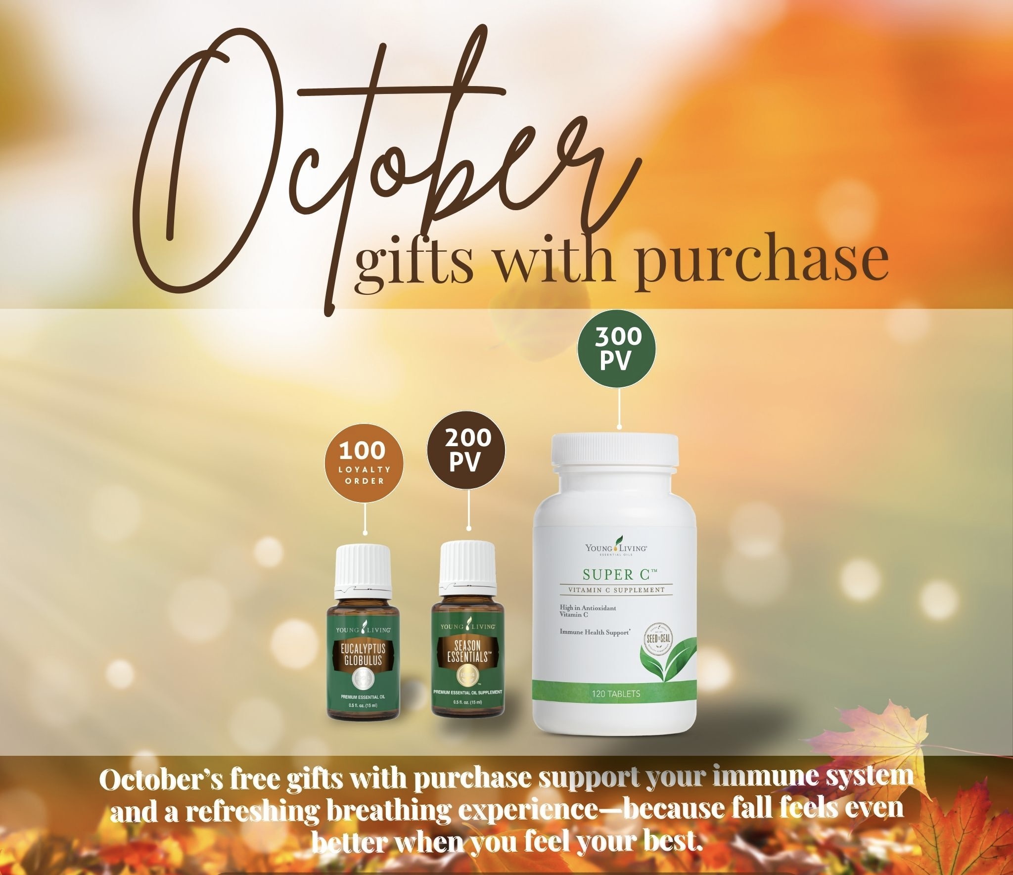 October 2025 GWP - 6
