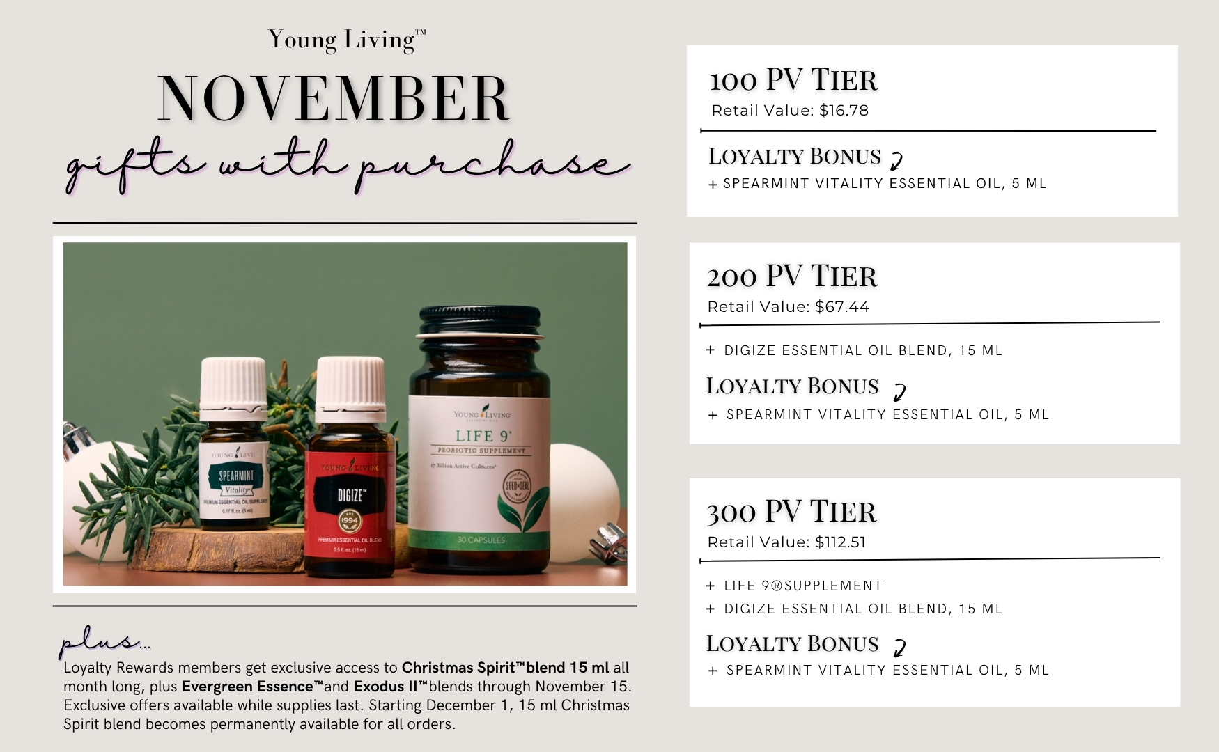 US - 2025 NOV Promo Graphics_overall